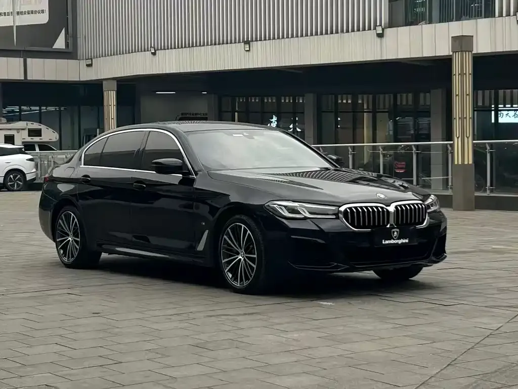 BMW 5 Series 2021 из CN, фото 2