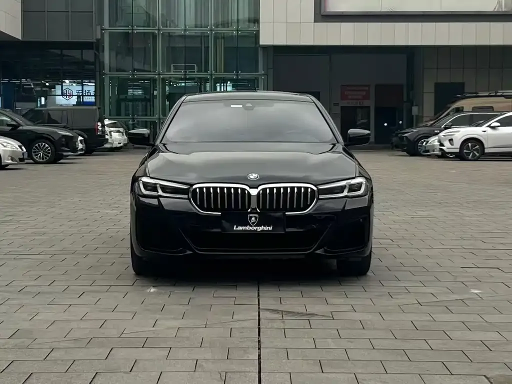 BMW 5 Series 2021 из CN, фото 6