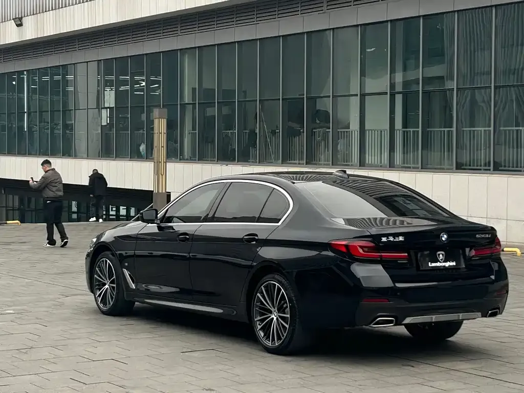 BMW 5 Series 2021 из CN, фото 10