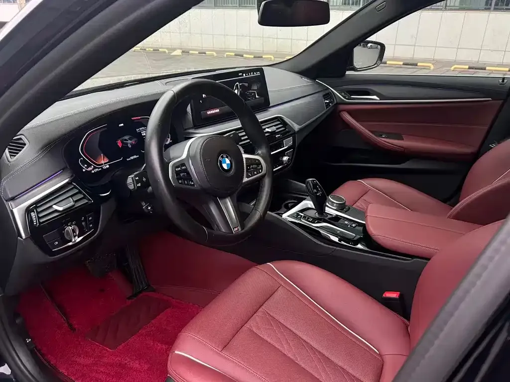 BMW 5 Series 2021 из CN, фото 8