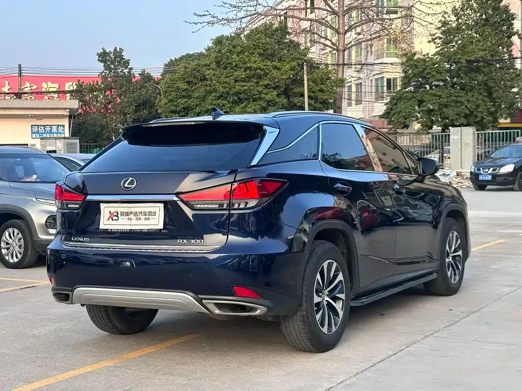Lexus RX 2022 из CN, фото 7