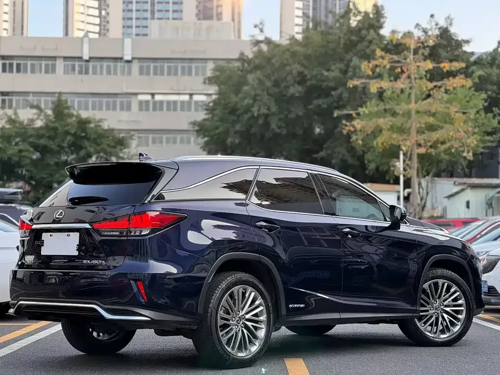 Lexus RX 2022 из CN, фото 6