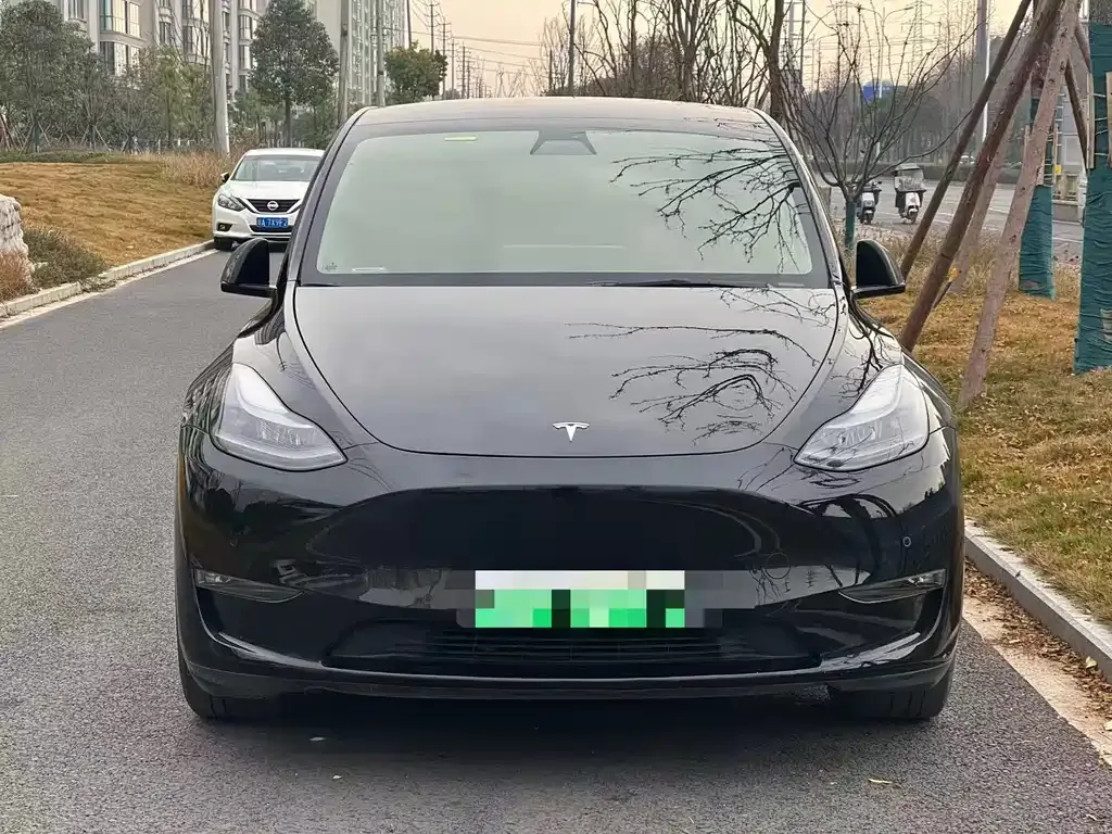 Tesla Model Y 2021 из CN, фото 7