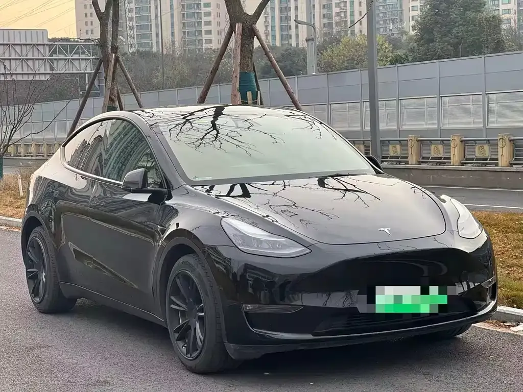 Tesla Model Y 2021 из CN, фото 8