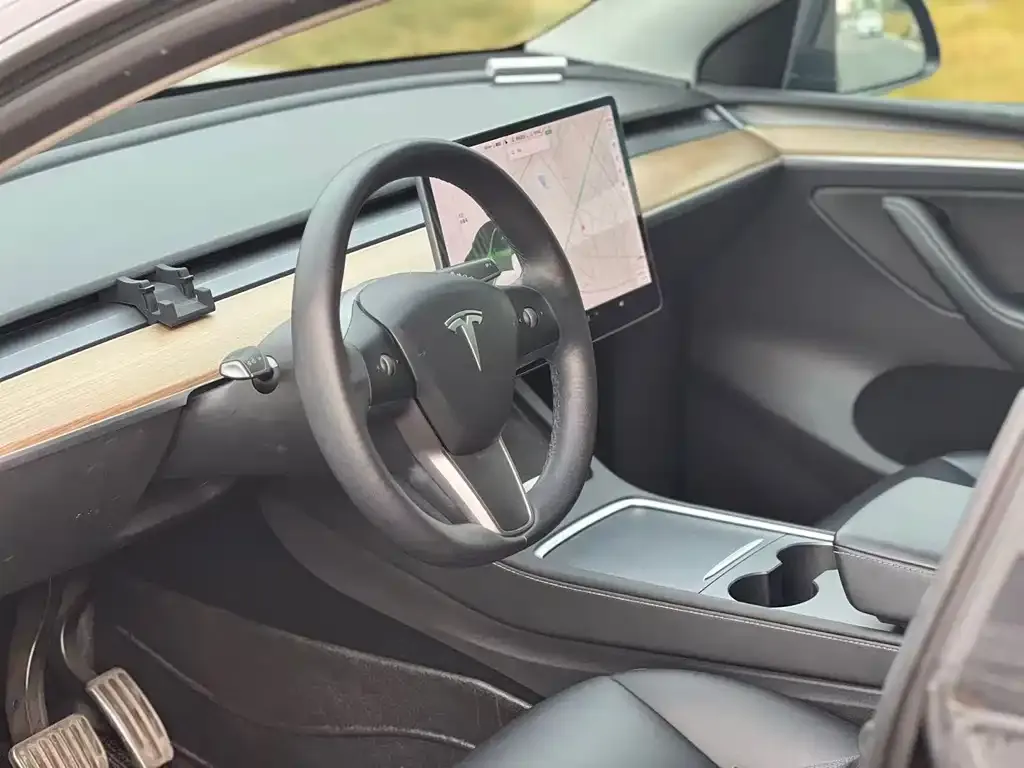 Tesla Model Y 2021 из CN, фото 4