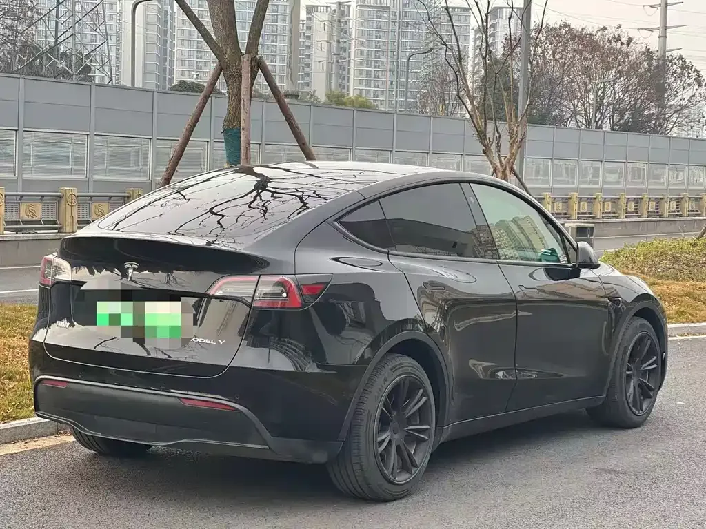 Tesla Model Y 2021 из CN, фото 9