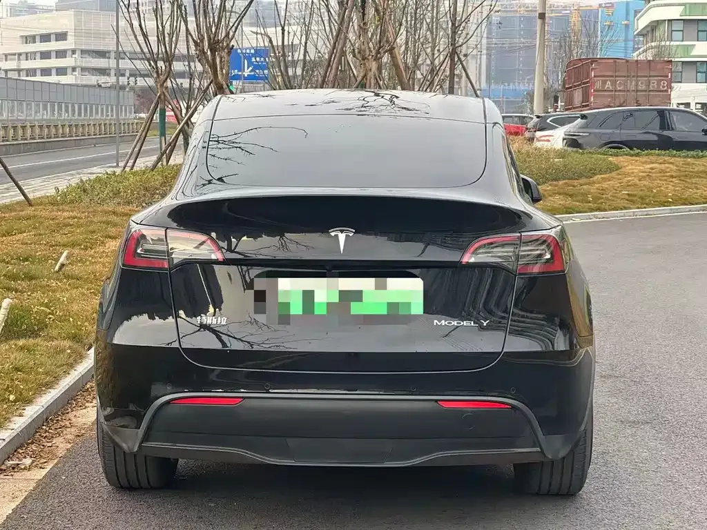 Tesla Model Y 2021 из CN, фото 6