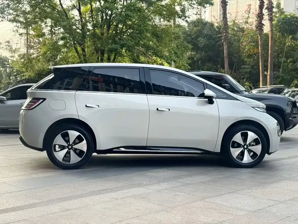 Baojun Yunduo 2024 из CN, фото 7