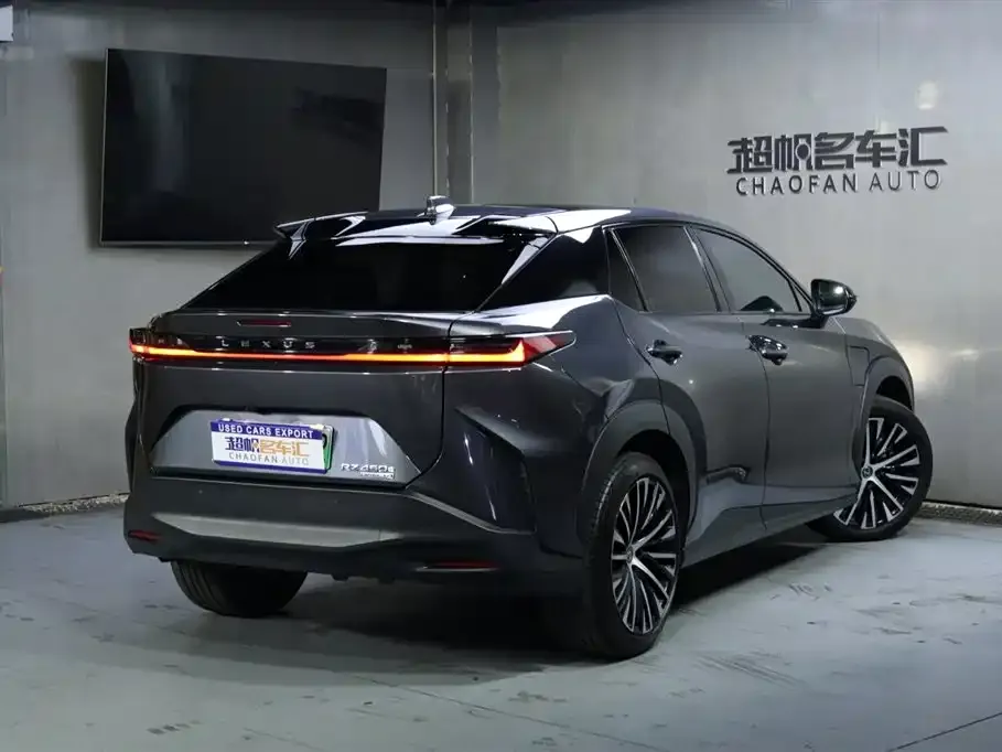 Lexus RZ — фото 6