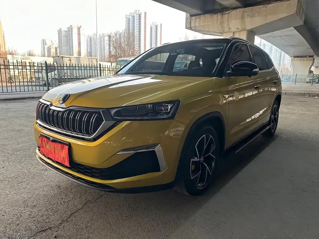 Skoda Kamiq 2023 из CN, фото 1