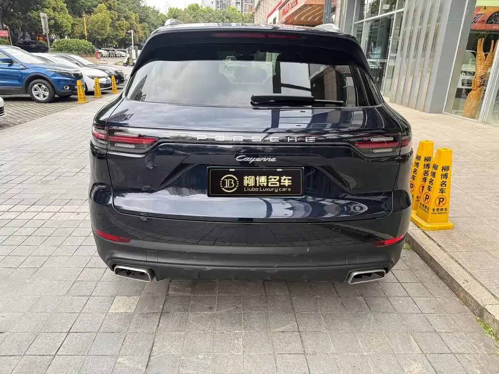 Porsche Cayenne 2021 из CN, фото 8