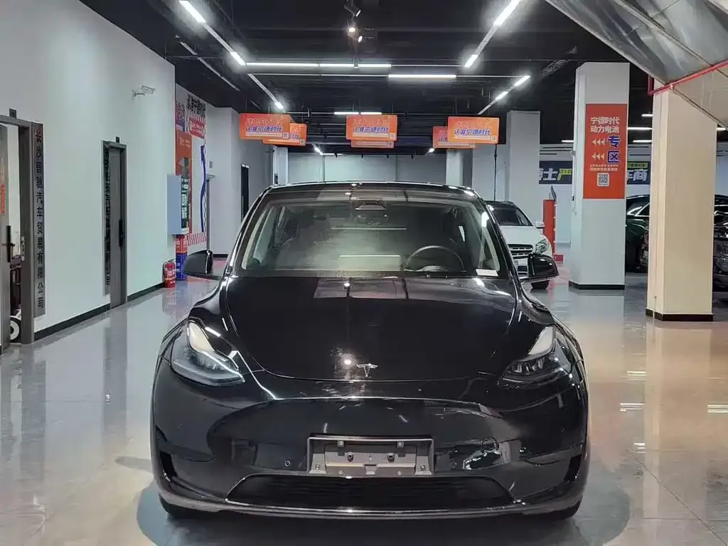 Tesla Model Y 2023 из CN, фото 2