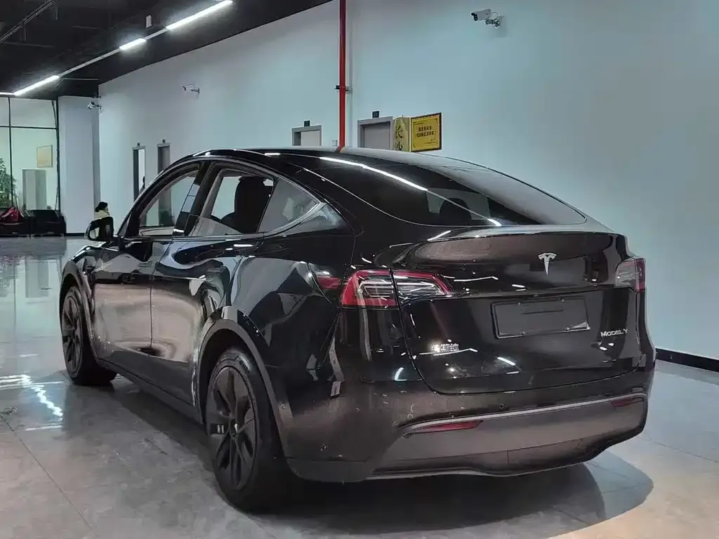 Tesla Model Y 2023 из CN, фото 3