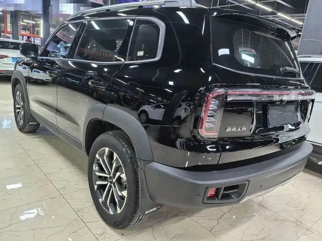 Haval Big Dog 2025 из CN, фото 5