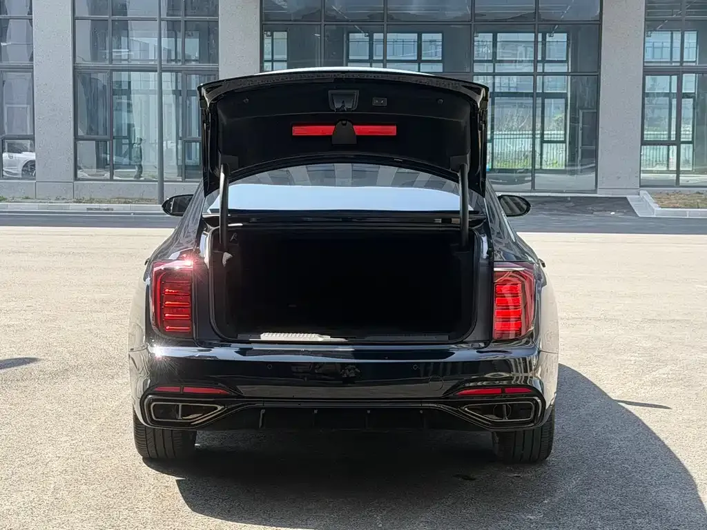 Hongqi H9 2024 из CN, фото 9