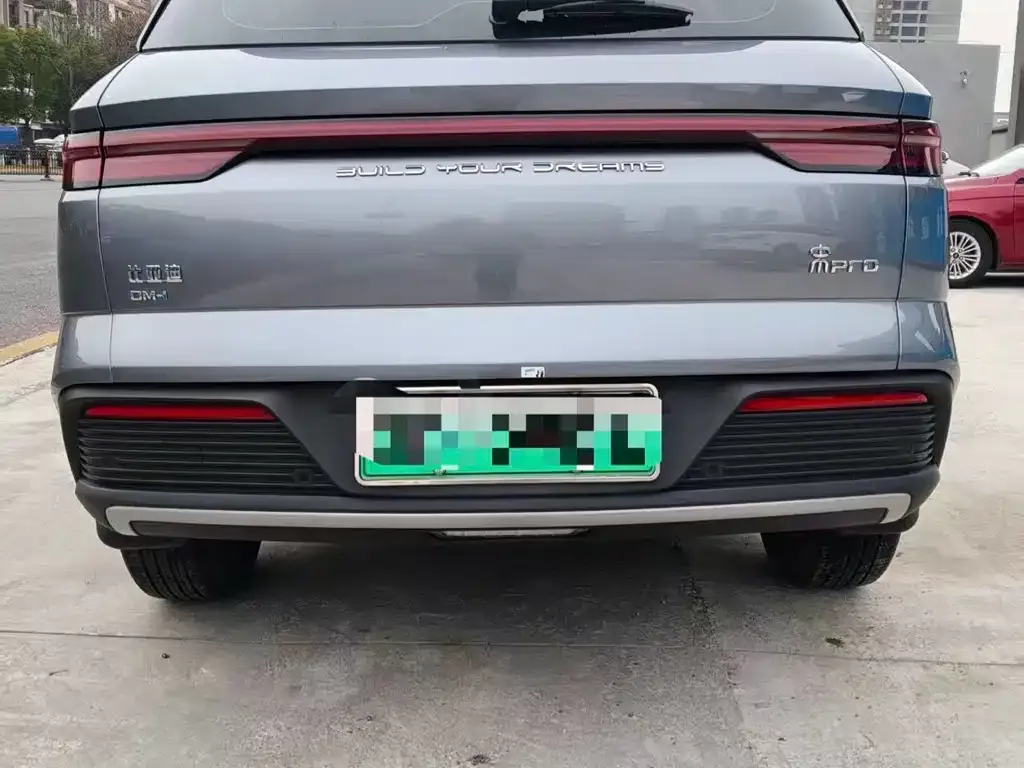 BYD Pro New Energy — фото 9