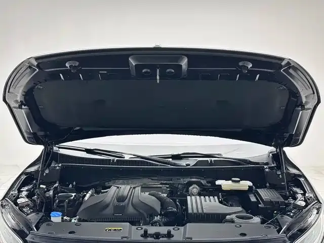 Hongqi HS7 PHEV 2024 из CN, фото 7
