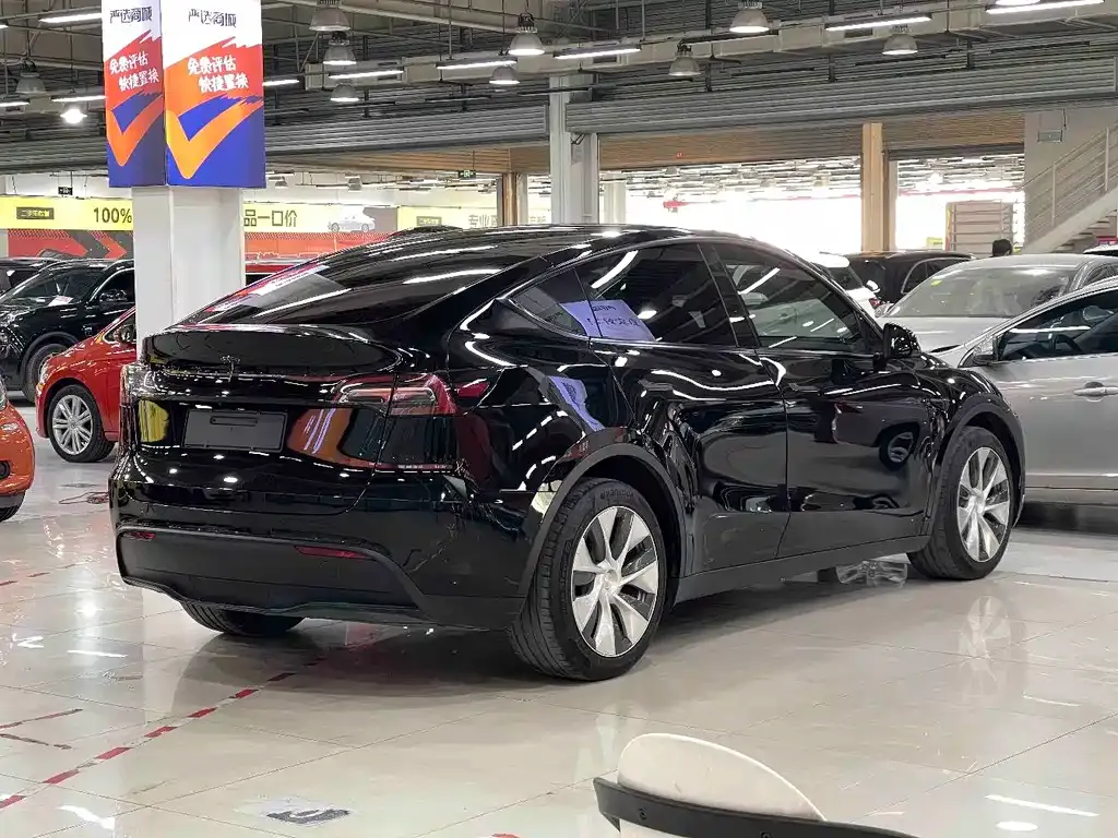 Tesla Model Y — фото 10