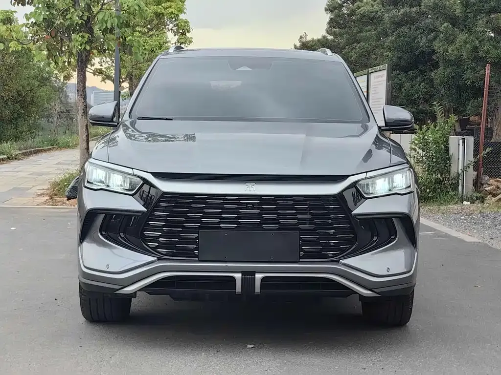 BYD Pro New Energy — фото 4