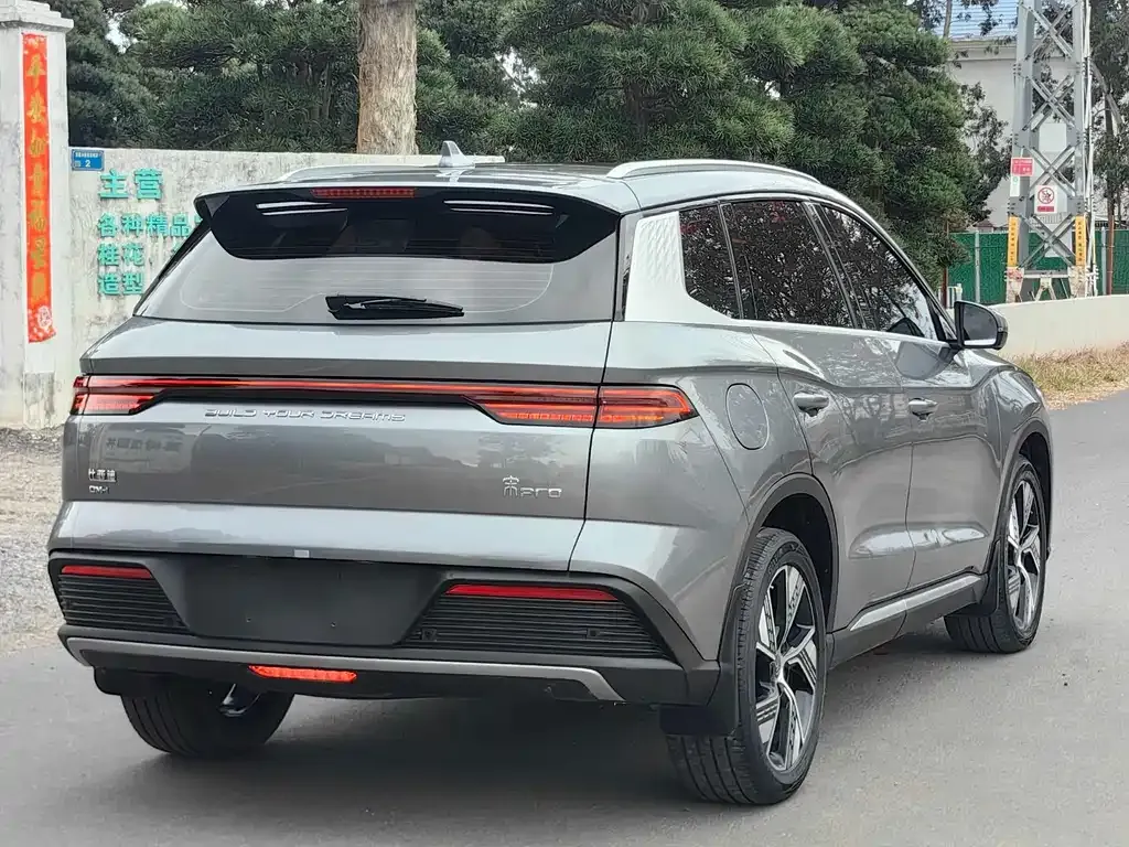 BYD Pro New Energy — фото 6
