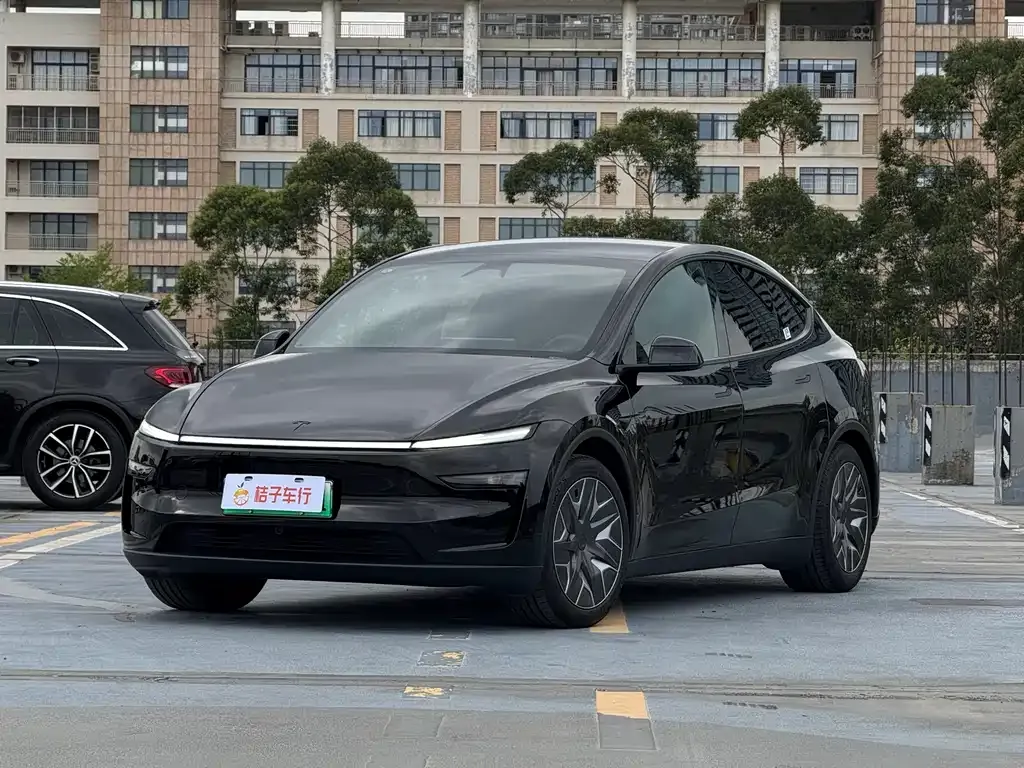 Tesla Model Y L 2025 из CN, фото 1