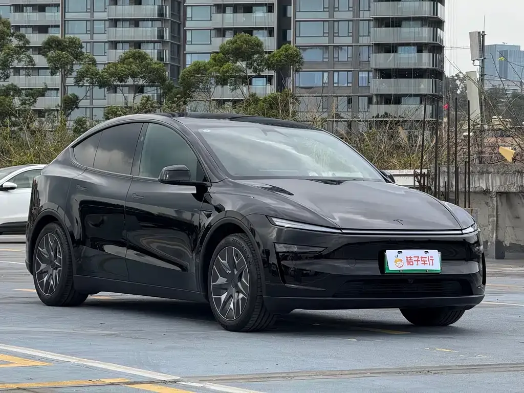 Tesla Model Y L 2025 из CN, фото 9