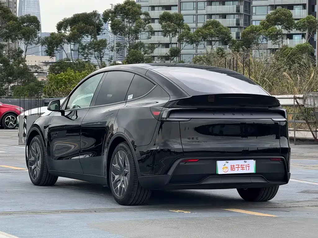Tesla Model Y L 2025 из CN, фото 6