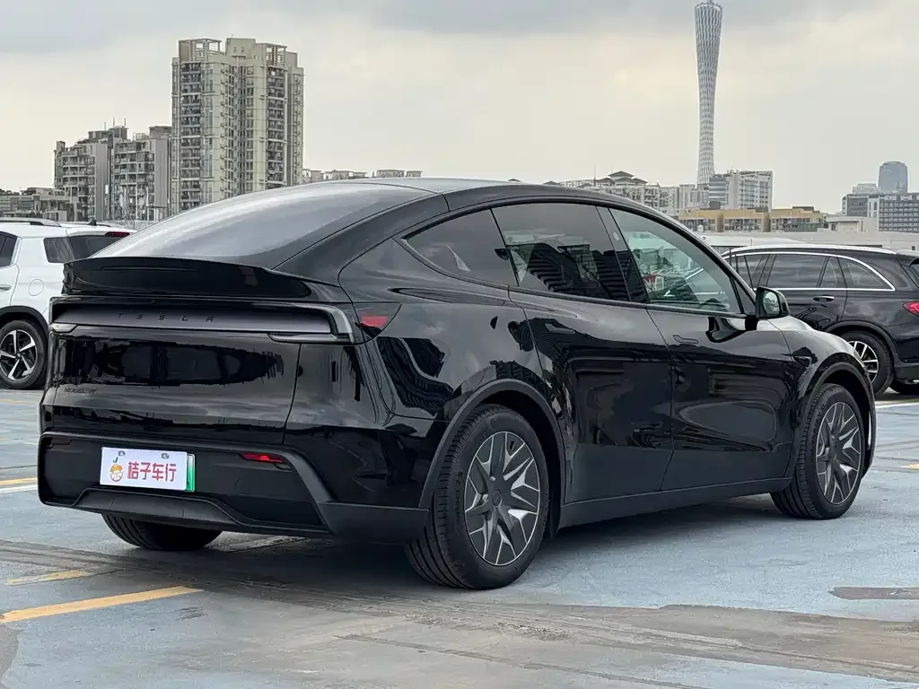 Tesla Model Y L 2025 из CN, фото 8