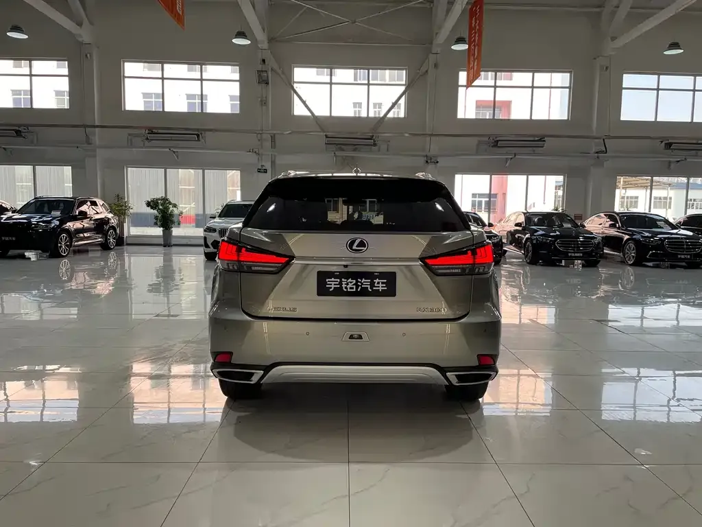 Lexus RX 2022 из CN, фото 4