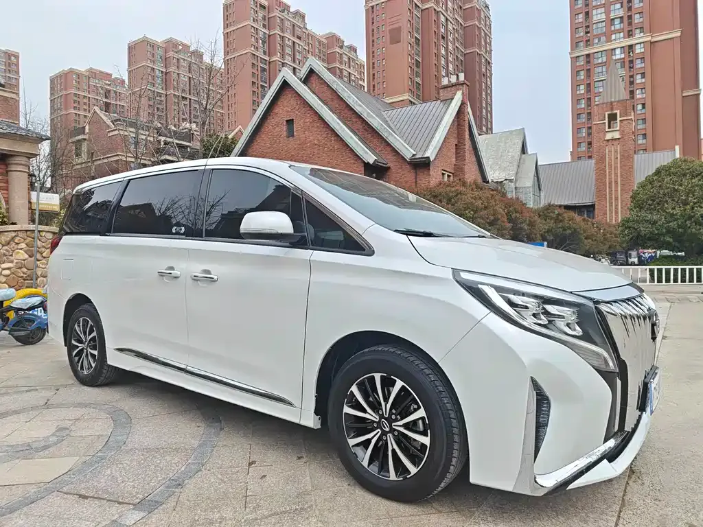 GAC Motor Trumpchi M8 2023 из CN, фото 4