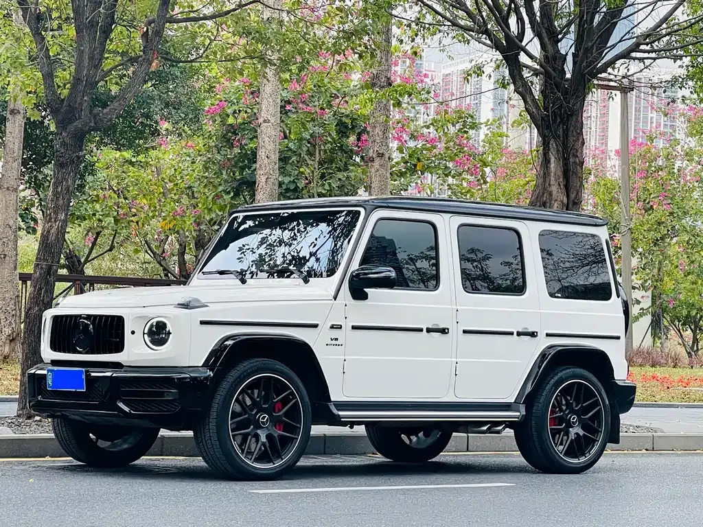Mercedes-Benz G-Class 2022 из CN, фото 1