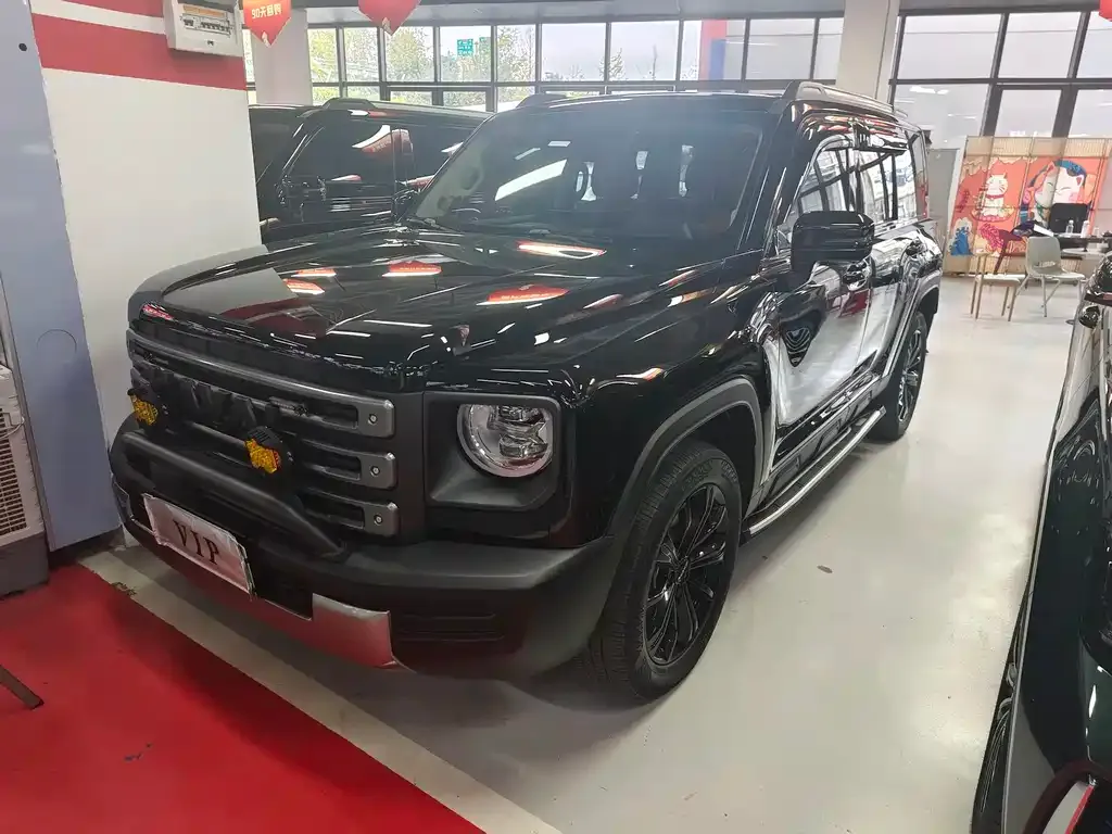 Haval Menglong New Energy 2023 из CN, фото 1