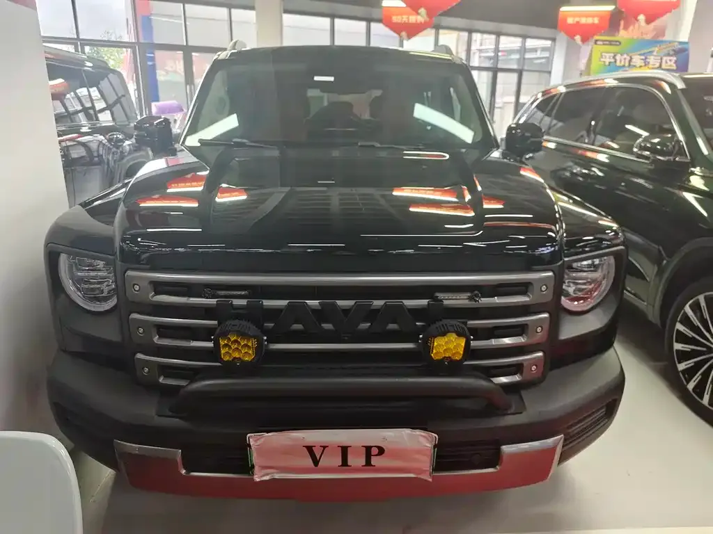 Haval Menglong New Energy 2023 из CN, фото 7