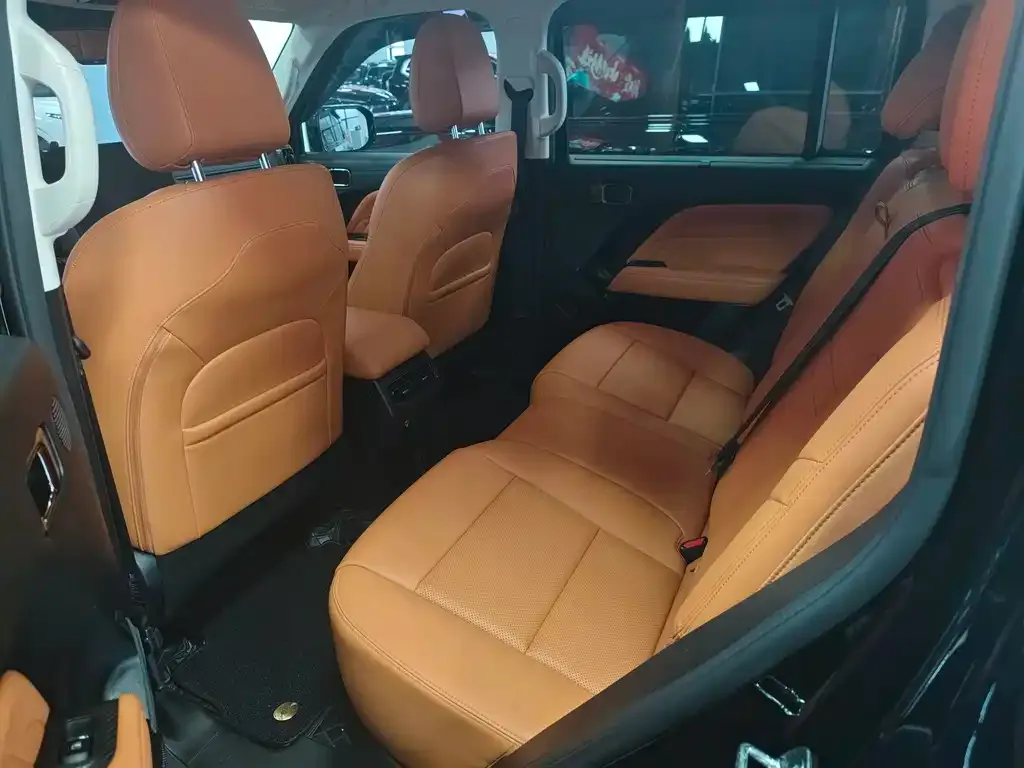 Haval Menglong New Energy 2023 из CN, фото 6