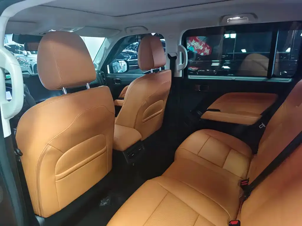 Haval Menglong New Energy 2023 из CN, фото 5