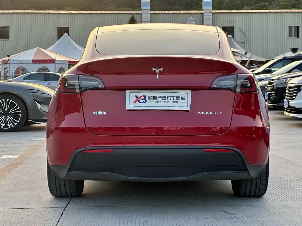 Tesla Model Y 2022 из CN, фото 6