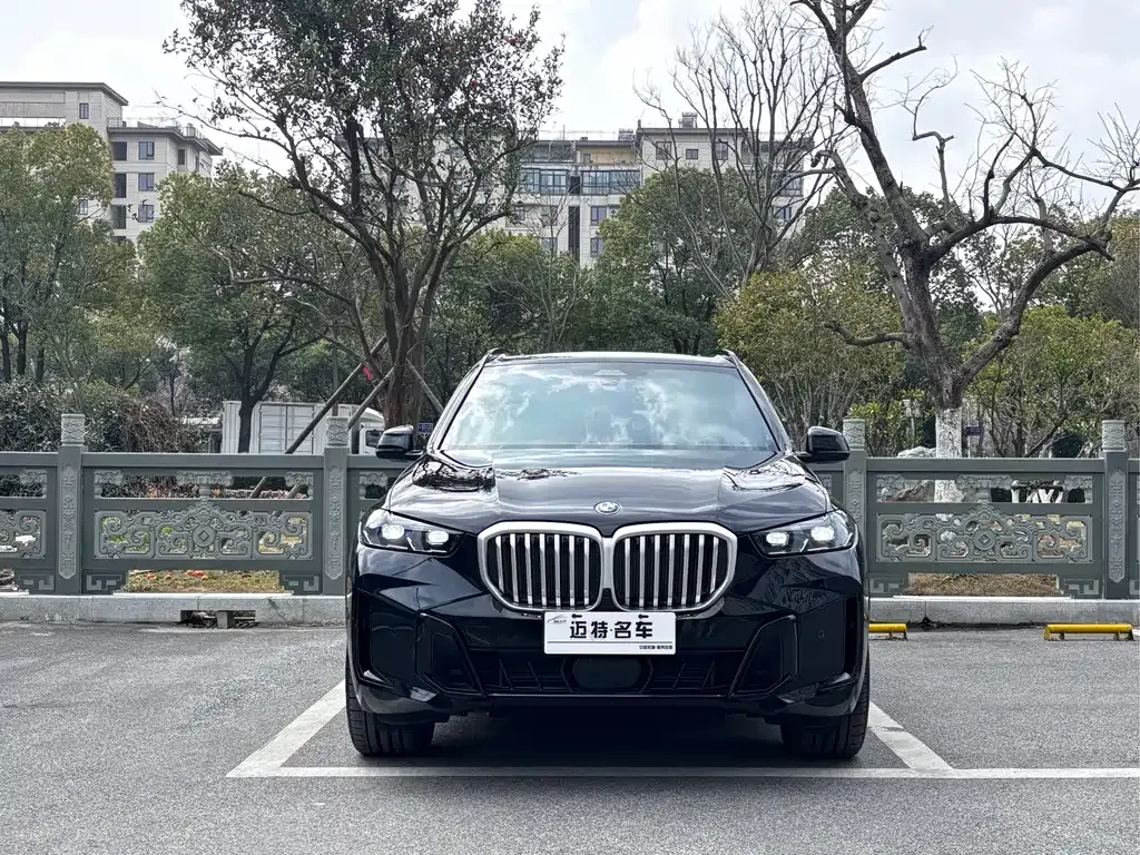 BMW X5 2025 из CN, фото 9