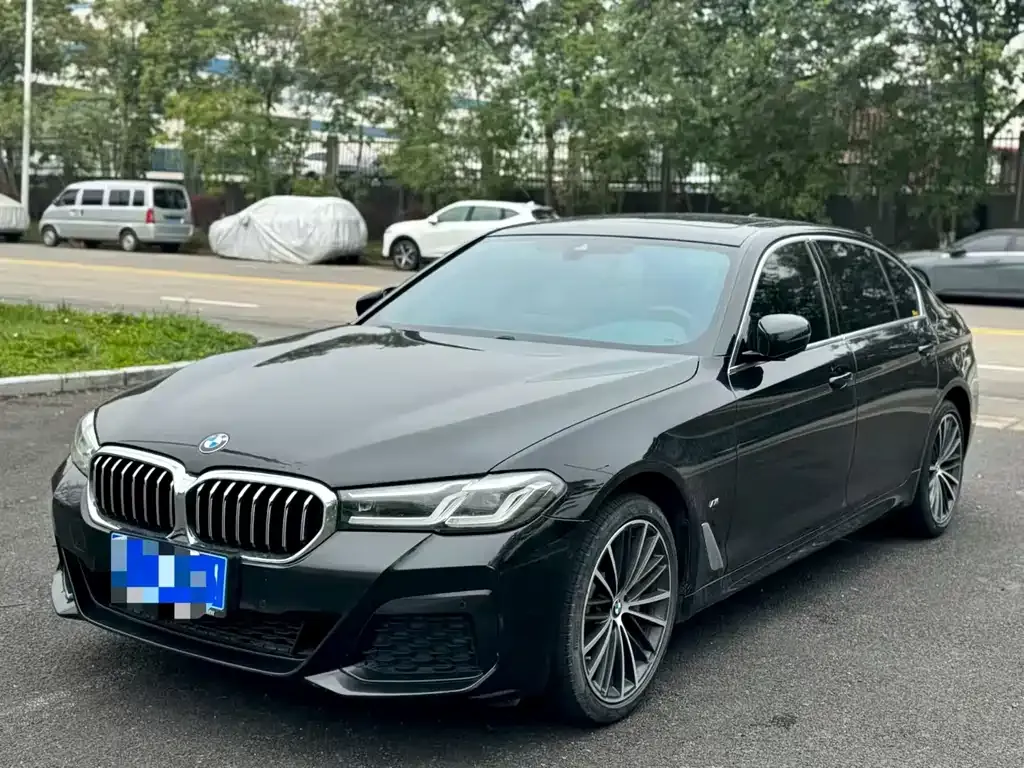 BMW 5 Series 2022 из CN, фото 1