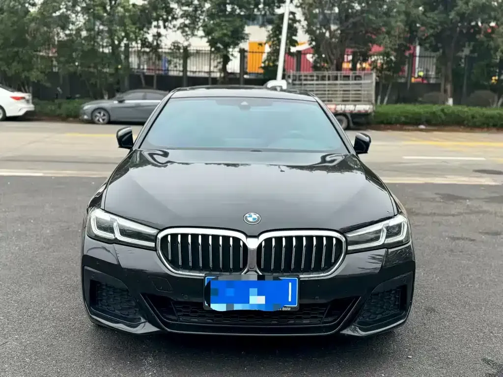 BMW 5 Series 2022 из CN, фото 5