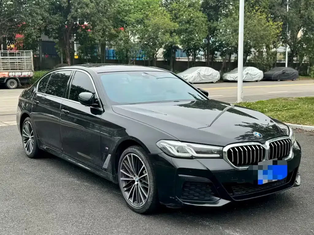 BMW 5 Series 2022 из CN, фото 6