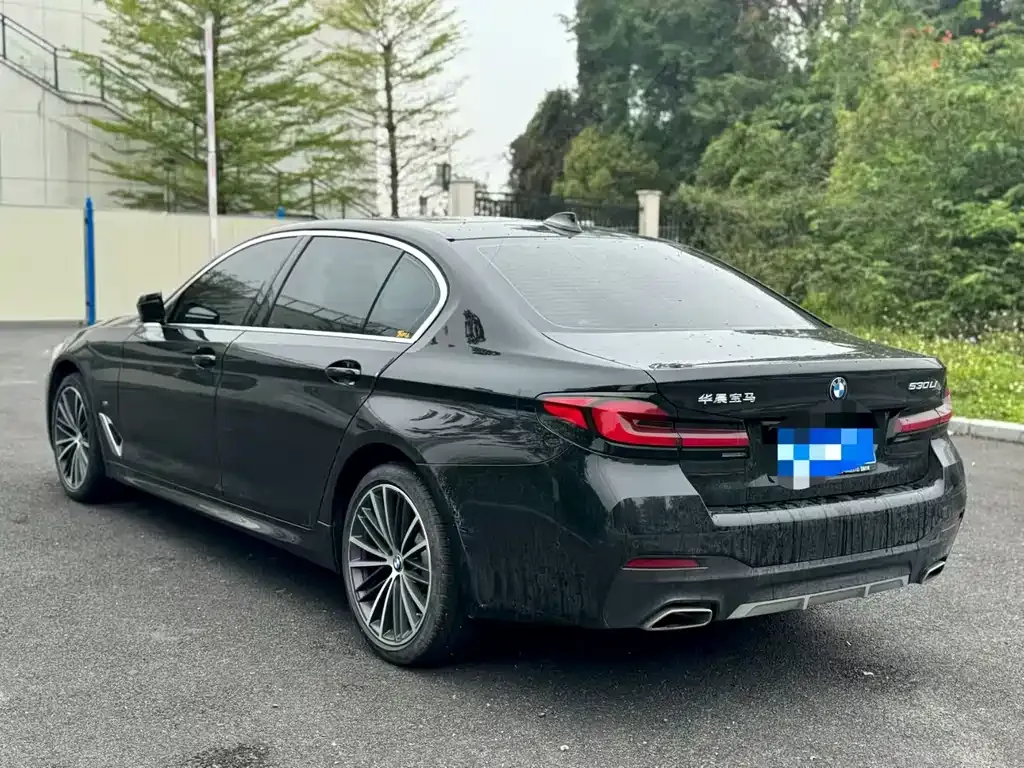 BMW 5 Series 2022 из CN, фото 9