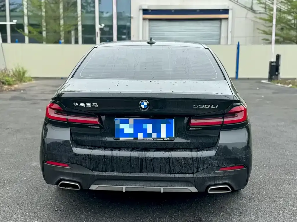 BMW 5 Series 2022 из CN, фото 8