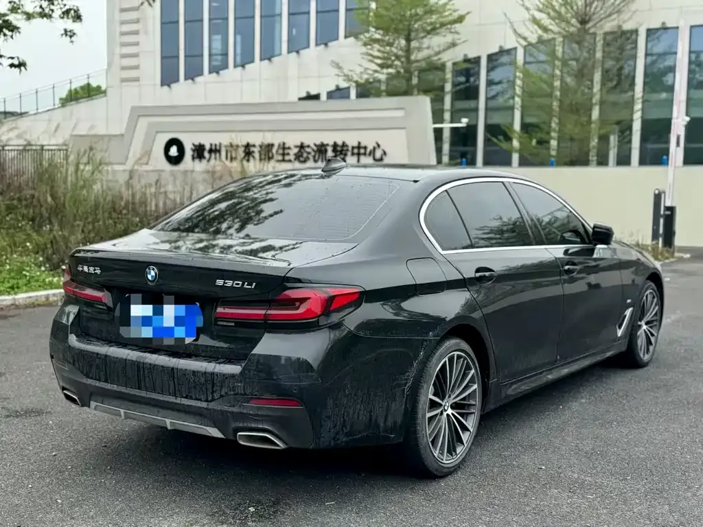 BMW 5 Series 2022 из CN, фото 7