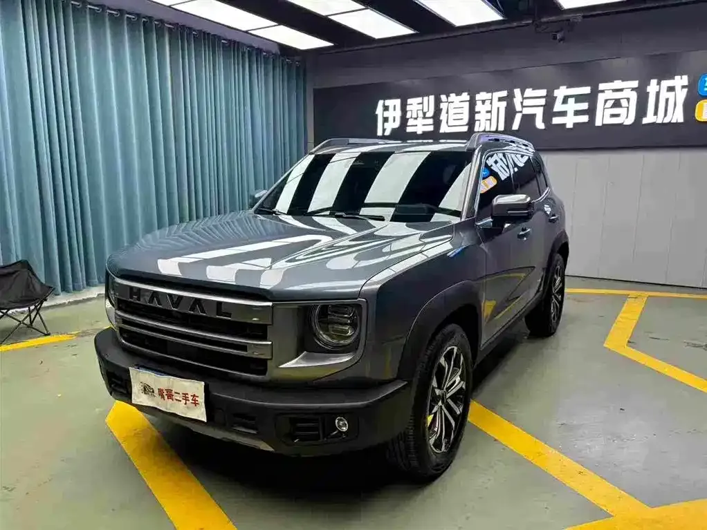 Haval Big Dog 2024 из CN, фото 1