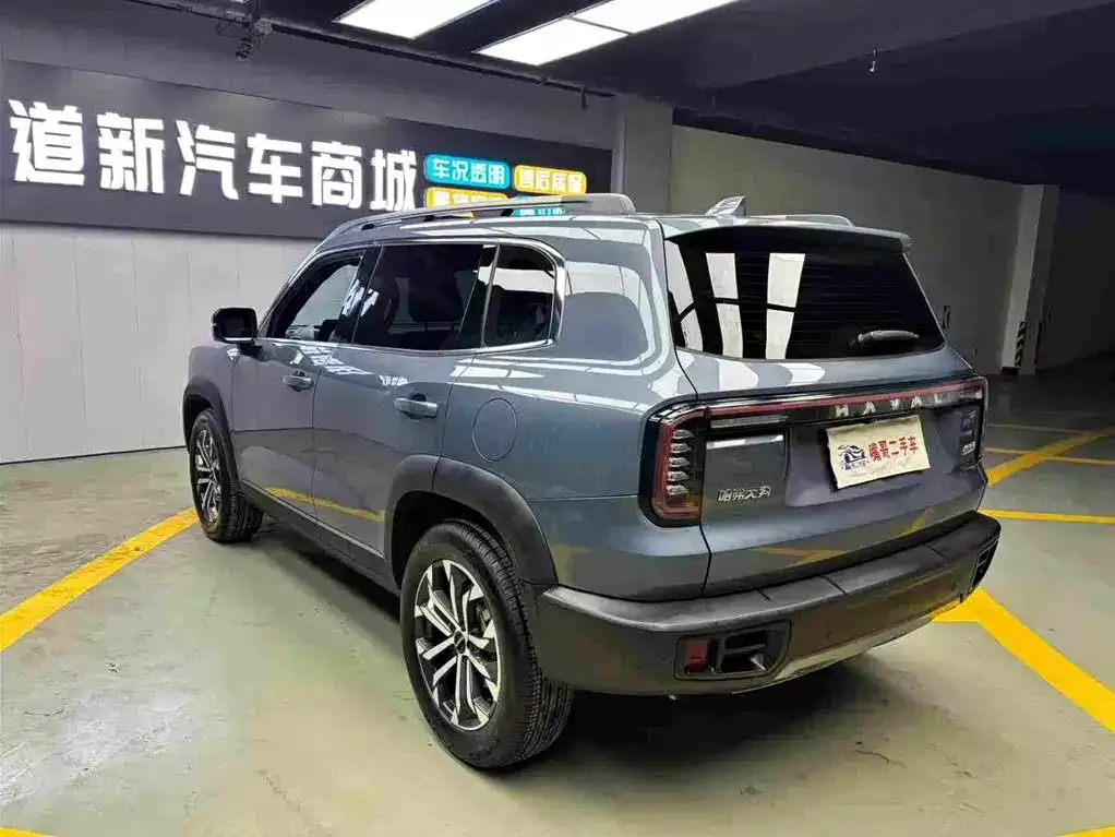 Haval Big Dog 2024 из CN, фото 2