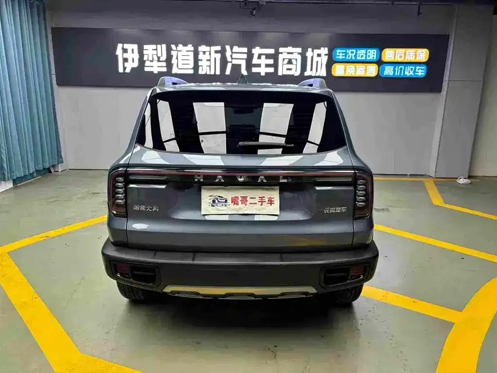 Haval Big Dog 2024 из CN, фото 3