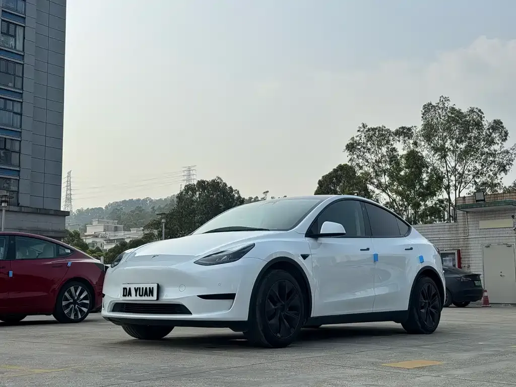 Tesla Model Y — фото 1