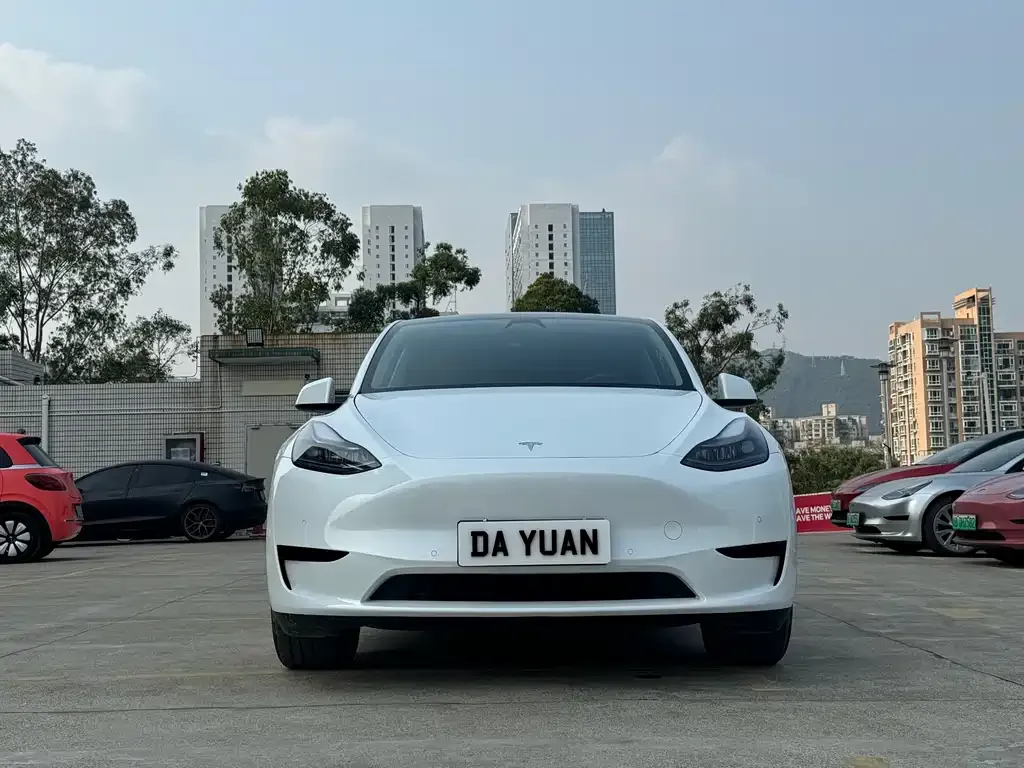 Tesla Model Y — фото 3
