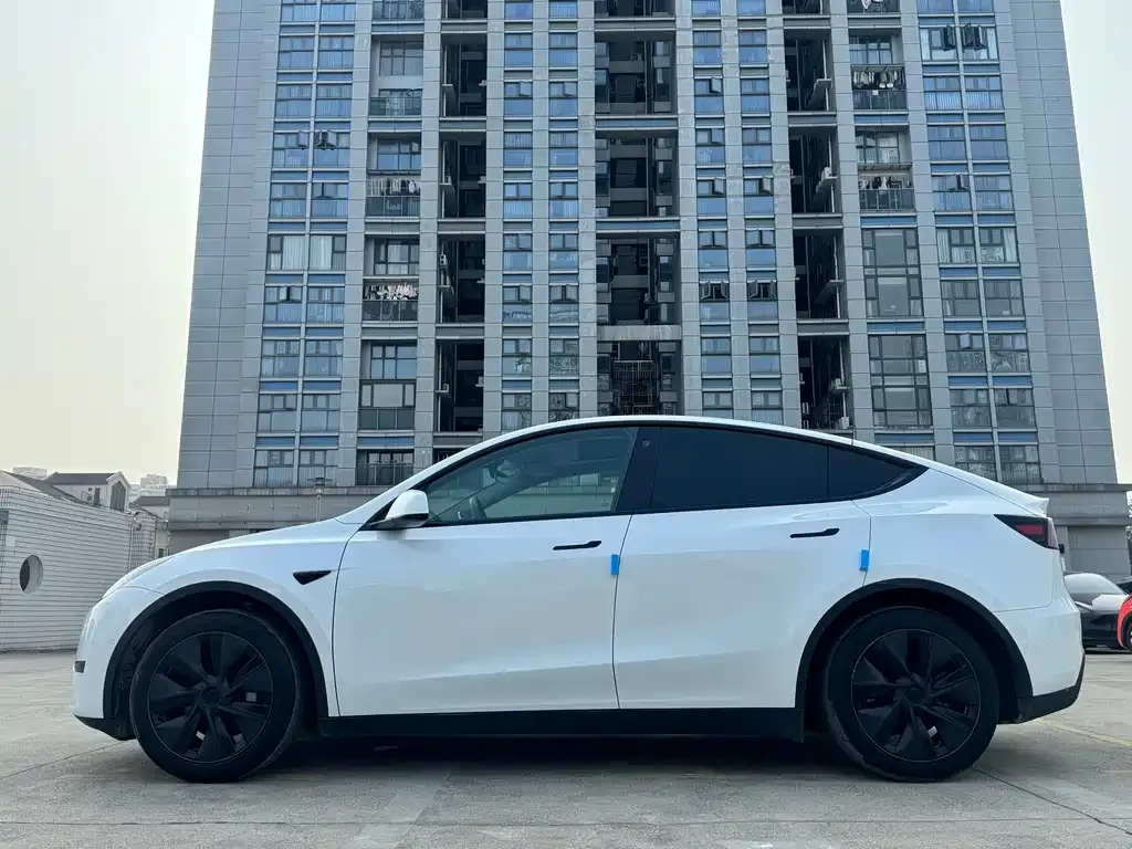 Tesla Model Y — фото 2