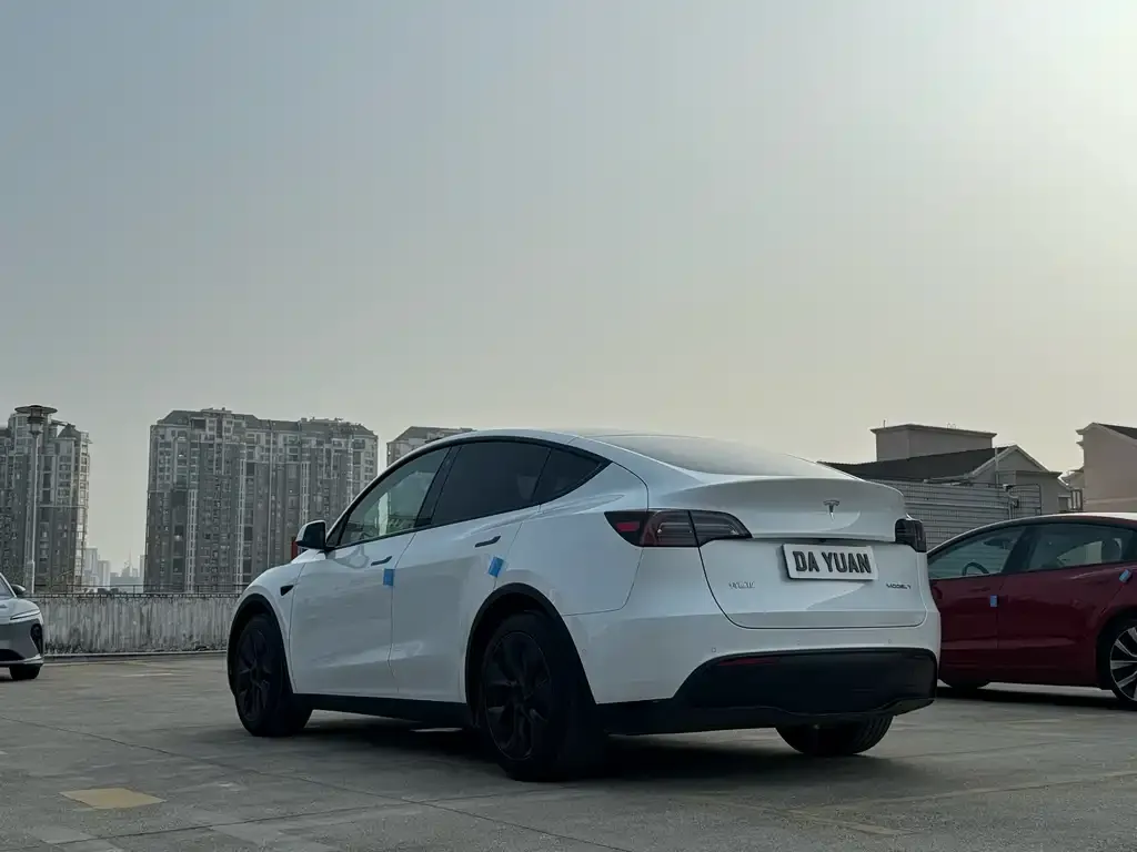 Tesla Model Y — фото 10